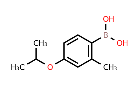 CAS 871126-21-5 | 4-Isopropoxy-2-methylphenylboronic acid