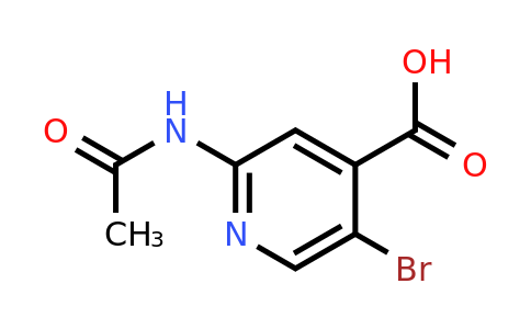 CAS 871269-03-3 | 2-Acetamido-5-bromoisonicotinic acid