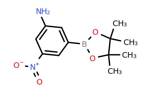 CAS 871329-51-0 | 3-Amino-5-nitrobenzeneboronic acid pinacol ester