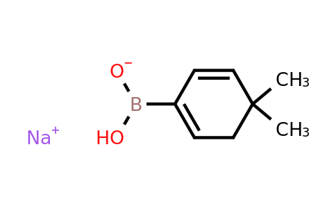 CAS 871329-70-3 | 4,4-Dimethylcyclohexa-1,5-dienylboronic acid monosodium salt
