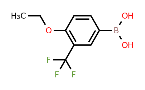 CAS 871329-83-8 | 4-Ethoxy-3-trifluoromethylphenylboronic acid