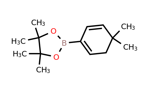 CAS 871333-97-0 | 4,4-Dimethylcyclohexa-1,5-dienylboronic acid pinacol ester