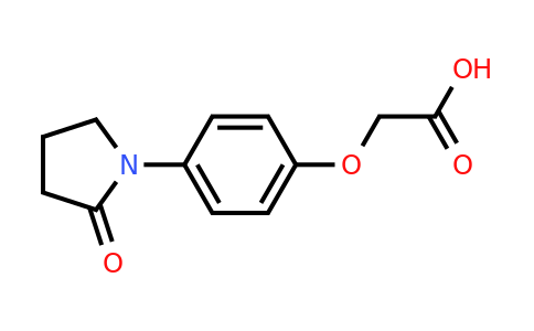 CAS 871673-06-2 | 2-[4-(2-oxopyrrolidin-1-yl)phenoxy]acetic acid