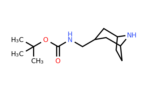 CAS 871727-14-9 | tert-butyl N-({8-azabicyclo[3.2.1]octan-3-yl}methyl)carbamate