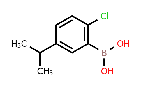 CAS 875550-89-3 | (2-Chloro-5-isopropylphenyl)boronic acid