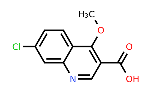 CAS 876708-52-0 | 7-Chloro-4-methoxyquinoline-3-carboxylic acid