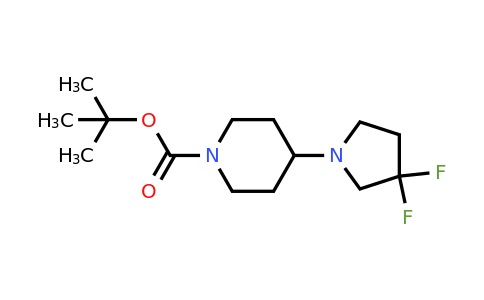 CAS 877125-71-8 | tert-Butyl 4-(3,3-difluoropyrrolidin-1-yl)piperidine-1-carboxylate
