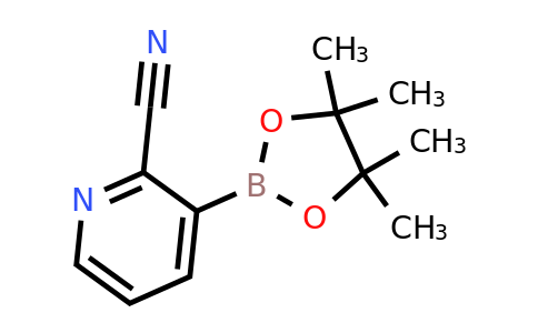 CAS 878194-93-5 | 2-Cyanopyridine-3-boronic acid pinacol ester