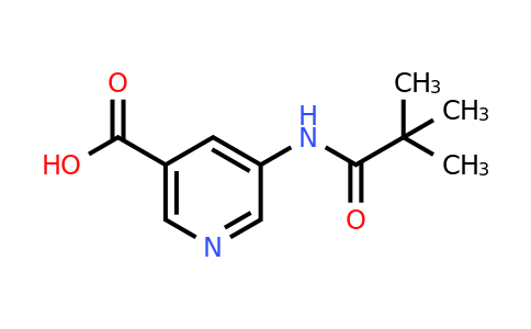 CAS 879326-77-9 | 5-(2,2-Dimethyl-propionylamino)-nicotinic acid