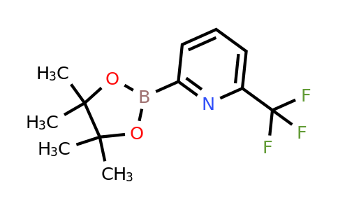 CAS 881402-16-0 | 6-(Trifluoromethyl)pyridine-2-boronic acid pinacol ester