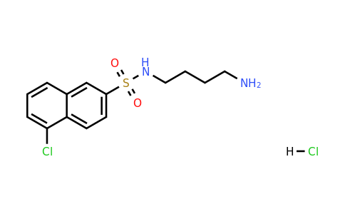 CAS 88519-57-7 | N-(4-Aminobutyl)-5-chloronaphthalene-2-sulfonamide hydrochloride