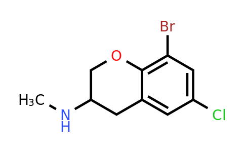 CAS 885271-41-0 | (8-Bromo-6-chloro-chroman-3-YL)-methylamine