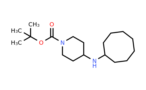 CAS 885274-44-2 | 1-BOC-4-Cyclooctylamino-piperidine