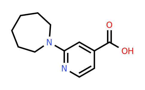 CAS 885277-05-4 | 2-Azepan-1-YL-isonicotinic acid