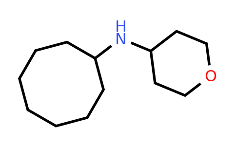 CAS 885281-07-2 | Cyclooctyl-(tetrahydro-pyran-4-yl)-amine