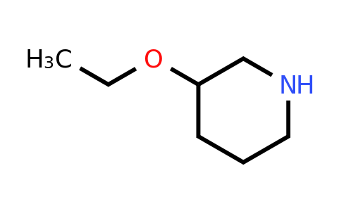 CAS 88536-17-8 | 3-Ethoxypiperidine
