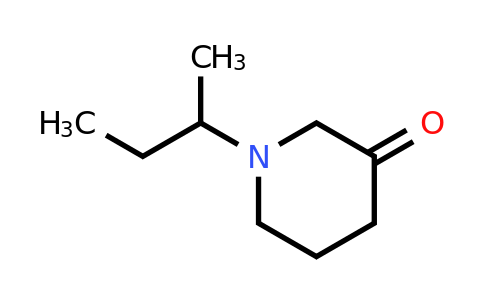 CAS 886365-27-1 | 1-Sec-butyl-piperidin-3-one