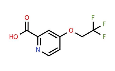 CAS 886372-43-6 | 4-(2,2,2-Trifluoro-ethoxy)-pyridine-2-carboxylic acid