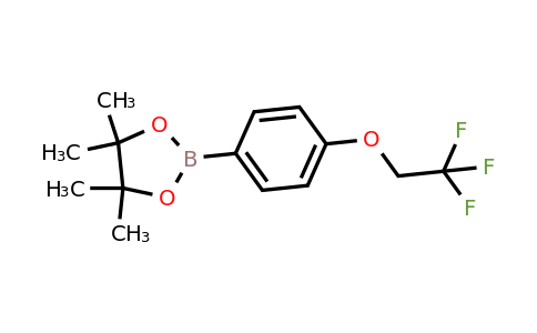 CAS 886528-42-3 | 4-(2,2,2-Trifluoroethoxy)phenylboronic acid pinacol ester