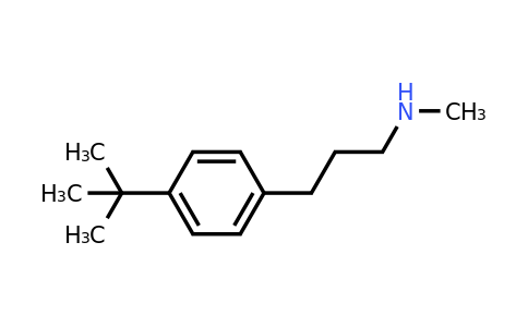 CAS 886763-06-0 | [3-(4-Tert-butyl-phenyl)-propyl]-methyl-amine