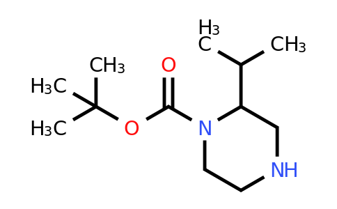 CAS 886766-25-2 | 1-BOC-2-Isopropyl-piperazine