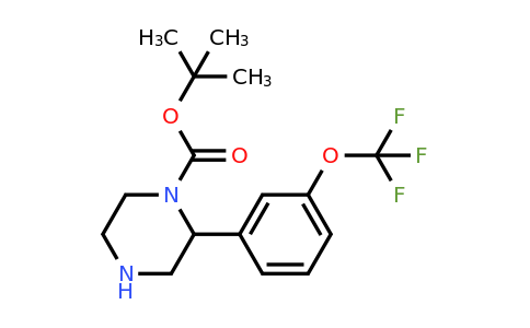 CAS 886768-37-2 | 2-(3-Trifluoromethoxy-phenyl)-piperazine-1-carboxylic acid tert-butyl ester