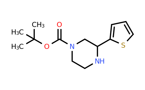 CAS 886771-38-6 | 3-Thiophen-2-YL-piperazine-1-carboxylic acid tert-butyl ester