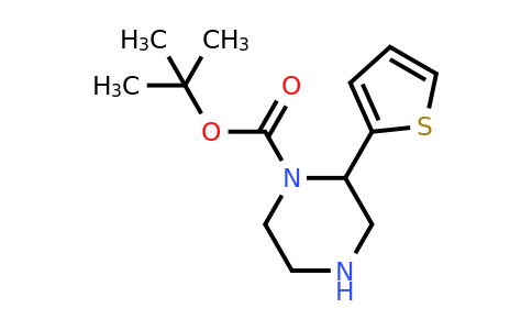 CAS 886771-44-4 | 2-Thiophen-2-YL-piperazine-1-carboxylic acid tert-butyl ester