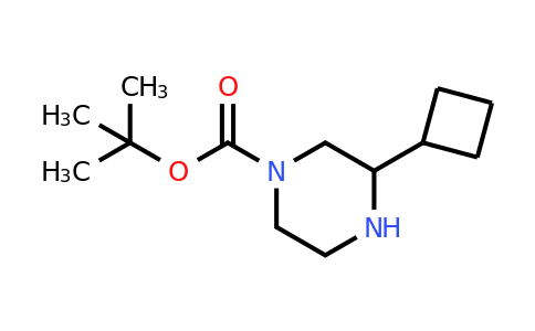 CAS 886780-01-4 | 3-Cyclobutyl-piperazine-1-carboxylic acid tert-butyl ester