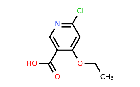 CAS 887572-34-1 | 6-Chloro-4-ethoxynicotinic acid
