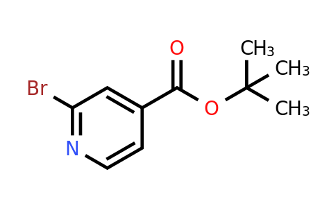 CAS 887579-30-8 | tert-butyl 2-bromopyridine-4-carboxylate