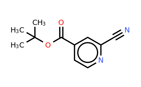 CAS 887579-37-5 | 4-BOC-2-Pyridinitrile