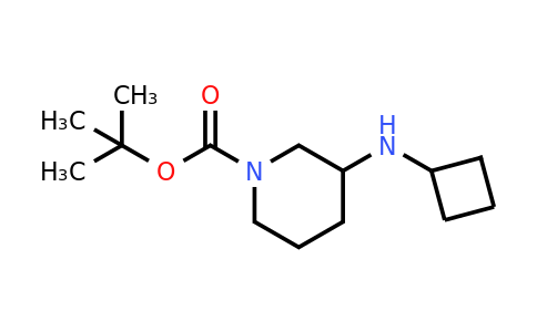 CAS 887586-09-6 | 1-Boc-3-(cyclobutylamino)-piperidine