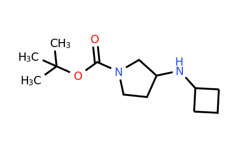 CAS 887587-29-3 | 1-BOC-3-(Cyclobutylamino)-pyrrolidine