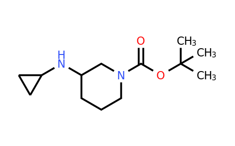 CAS 887588-04-7 | tert-Butyl 3-(cyclopropylamino)piperidine-1-carboxylate