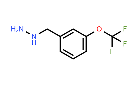 CAS 887595-84-8 | 3-Trifluoromethoxy-benzyl-hydrazine