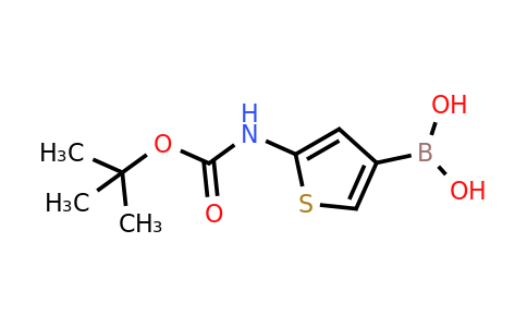 CAS 889451-13-2 | 2-(Tert-butoxycarbonylamino)-thiophene-4-boronic acid