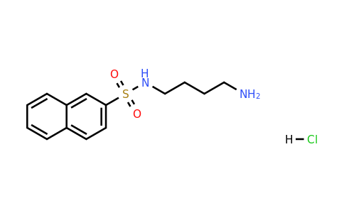 CAS 89108-46-3 | N-(4-Aminobutyl)naphthalene-2-sulfonamide hydrochloride
