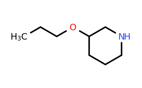 CAS 89122-72-5 | 3-Propoxypiperidine