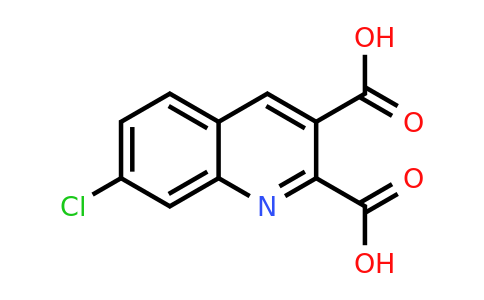 CAS 892874-52-1 | 7-Chloroquinoline-2,3-dicarboxylic acid