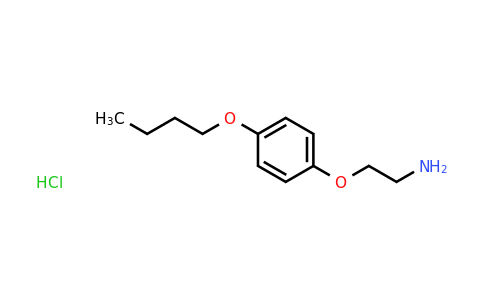 CAS 893618-52-5 | 2-(4-Butoxyphenoxy)ethanamine hydrochloride