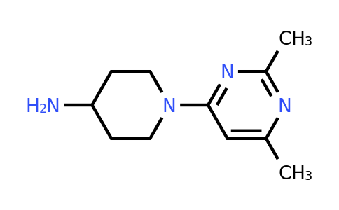 CAS 893754-92-2 | 1-(2,6-dimethylpyrimidin-4-yl)piperidin-4-amine