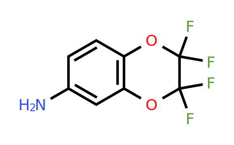 CAS 89586-07-2 | 2,2,3,3-Tetrafluoro-2,3-dihydrobenzo[b][1,4]dioxin-6-amine