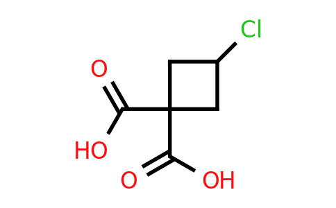 CAS 89639-43-0 | 3-Chloro-cyclobutane-dicarboxylic acid