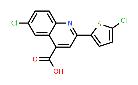 CAS 897560-10-0 | 6-Chloro-2-(5-chlorothiophen-2-yl)quinoline-4-carboxylic acid