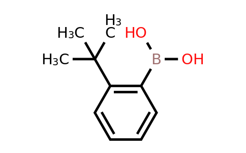 CAS 89787-13-3 | (2-tert-butylphenyl)boronic acid