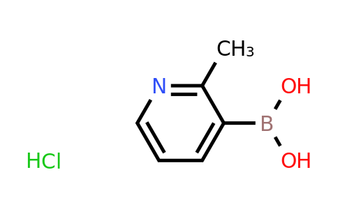 CAS 899436-71-6 | 2-Picoline-3-boronic acid hcl