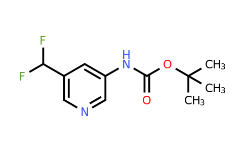 CAS 899899-70-8 | tert-butyl N-[5-(difluoromethyl)-3-pyridyl]carbamate