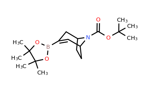 CAS 900503-08-4 | tert-butyl 3-(4,4,5,5-tetramethyl-1,3,2-dioxaborolan-2-yl)-8-azabicyclo[3.2.1]oct-2-ene-8-carboxylate