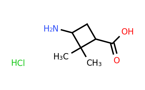 CAS 90139-88-1 | 3-amino-2,2-dimethylcyclobutane-1-carboxylic acid hydrochloride